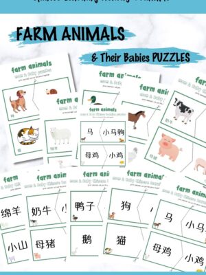 arm animals and their babies Chinese learning puzzle activities for kids - learn Chinese with fun #Chinese4kids #learnChinese #mandarinChinese #Chineseforkids