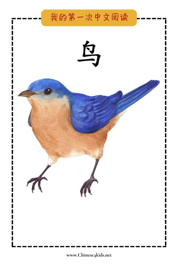 My Very First Chinese Reading - - 鸟