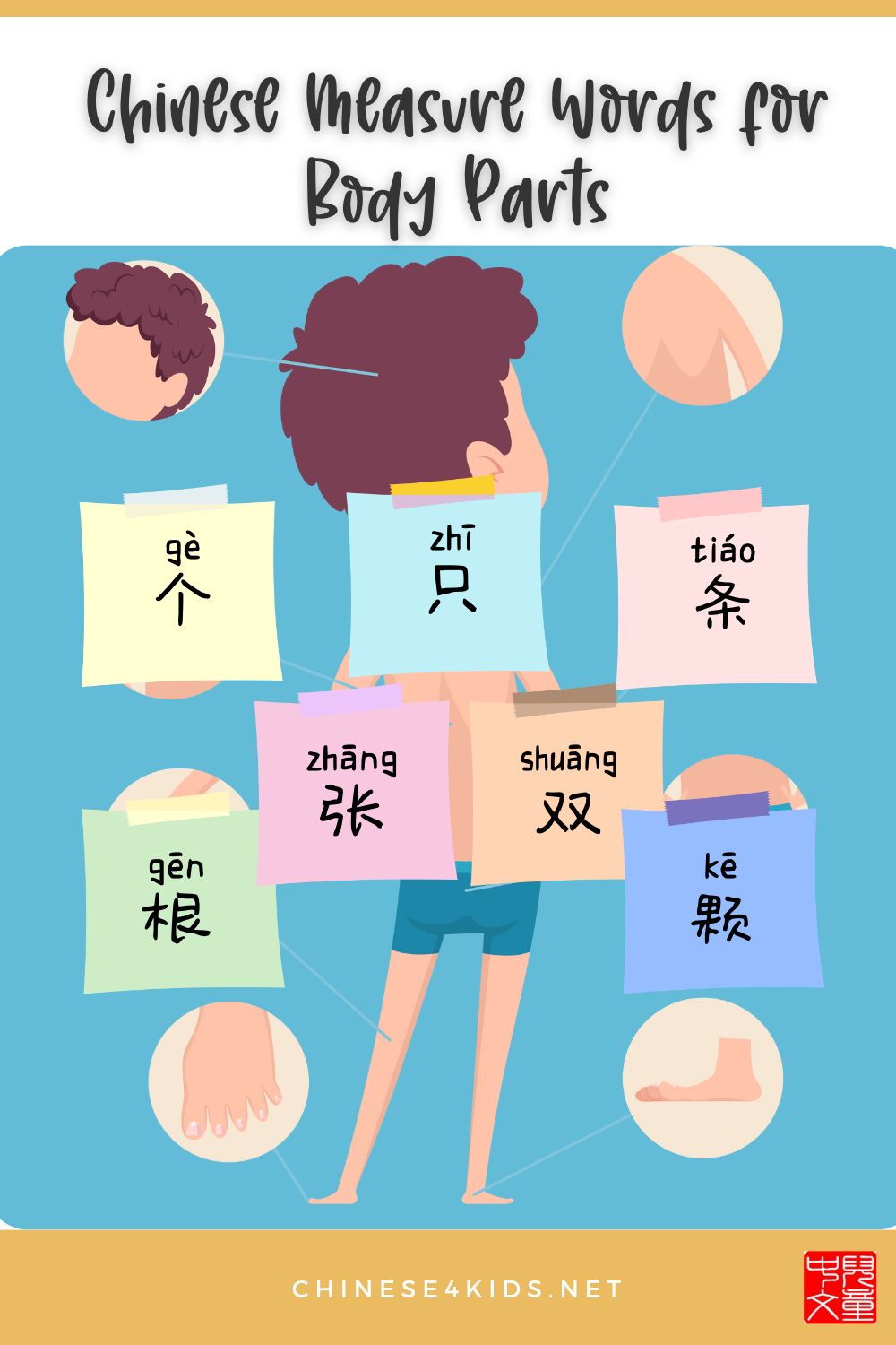 measure words for body parts Chinese learning #Chinese4kids #learnChinese #measure words