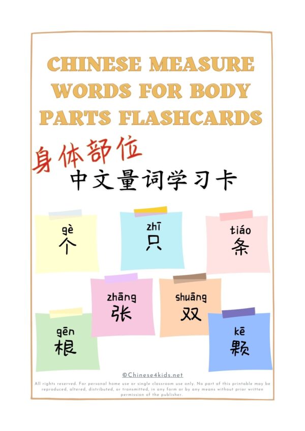 Chinese Measure Words for Body Parts Montessori 3-Part Flashcards - Digital Printable